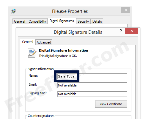 Screenshot of the Sale Tube certificate